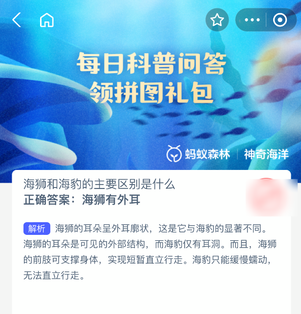神奇海洋小知識：海獅與海豹的