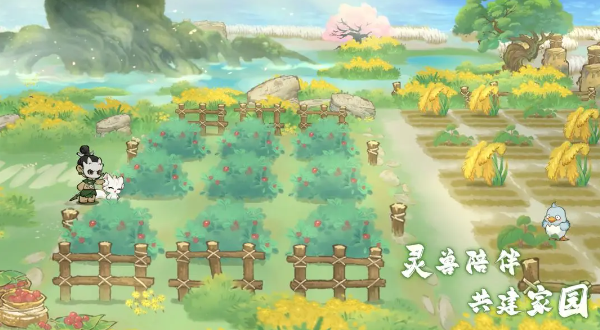 水系減速流陣容示意圖