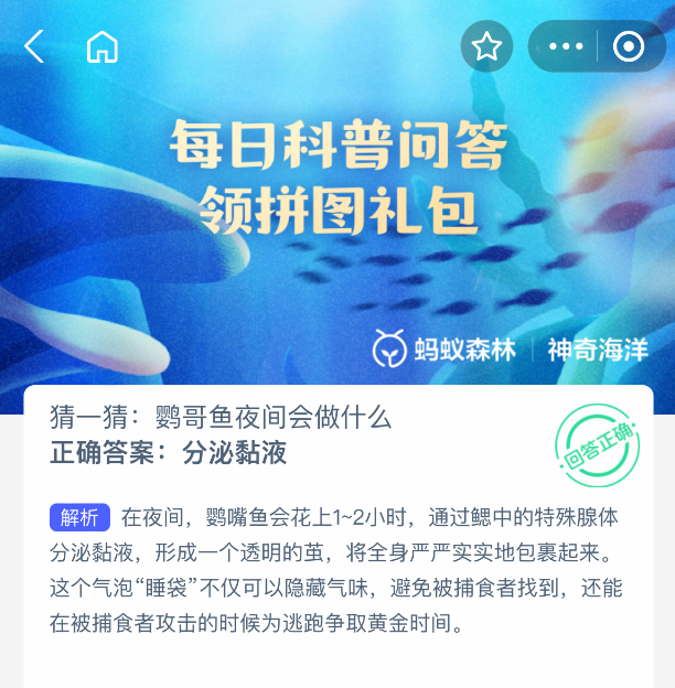 神奇海洋每日問答：鸚哥魚夜間行為解析-景澄手游網