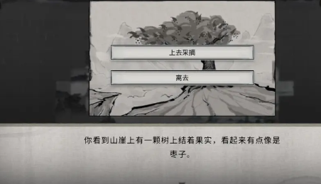 棗子果實(shí)