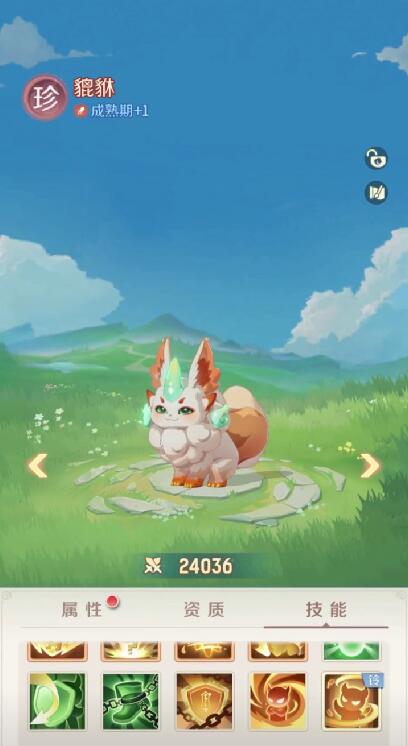 裝備搭配示意圖