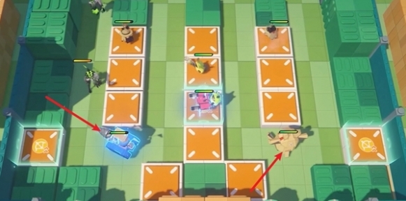 放置阿全和紙殼