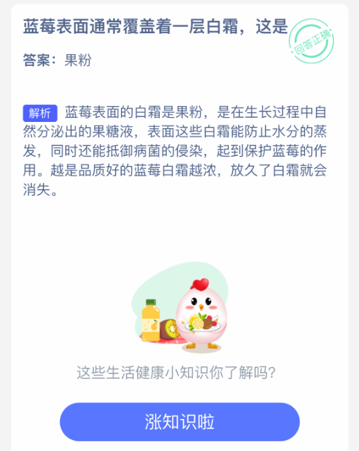 藍莓果粉特寫