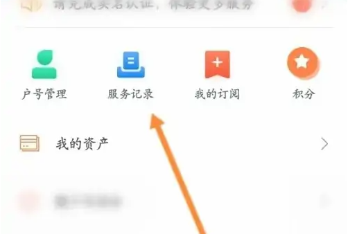 服務(wù)記錄界面