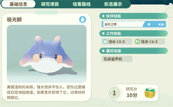 極光鲼約會組合