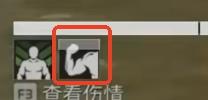 效果顯示
