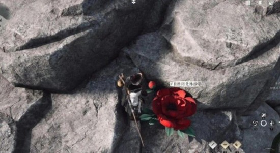 采集曼殊沙華操作界面