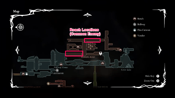 蟑螂內(nèi)臟分布區(qū)域