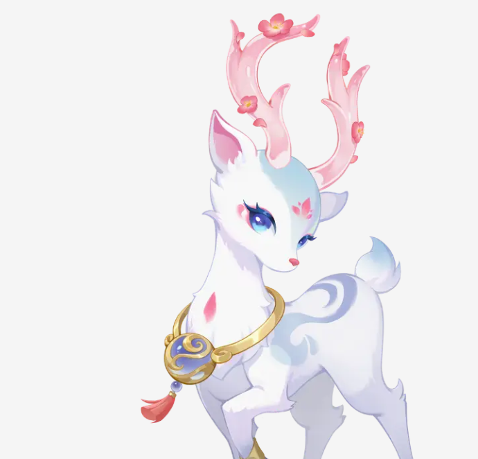 各階段形態對比