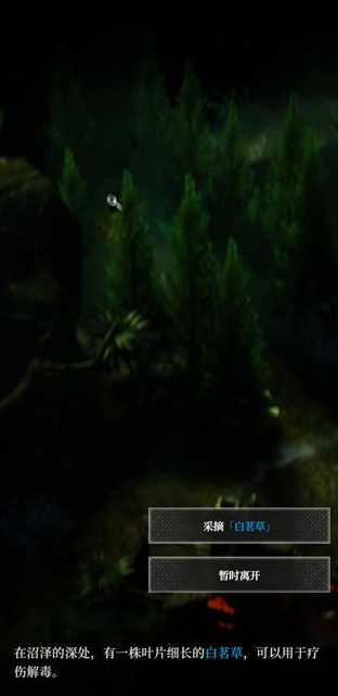 白茗草采摘位置