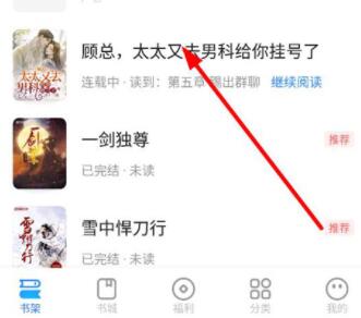 舊版書架界面