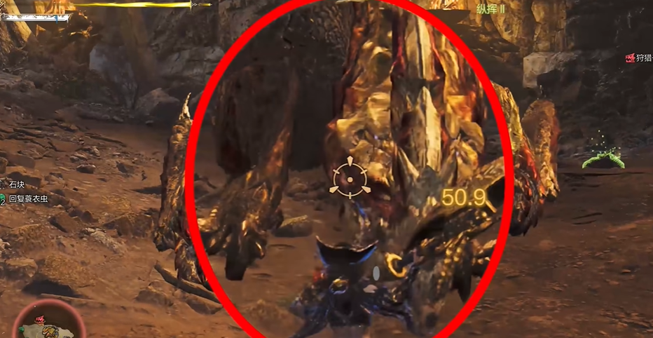 腿部傷口示意圖