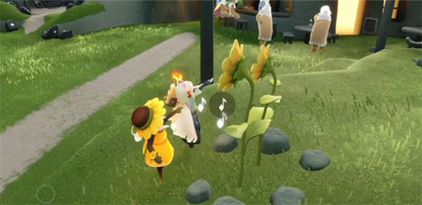 第3株向日葵位置