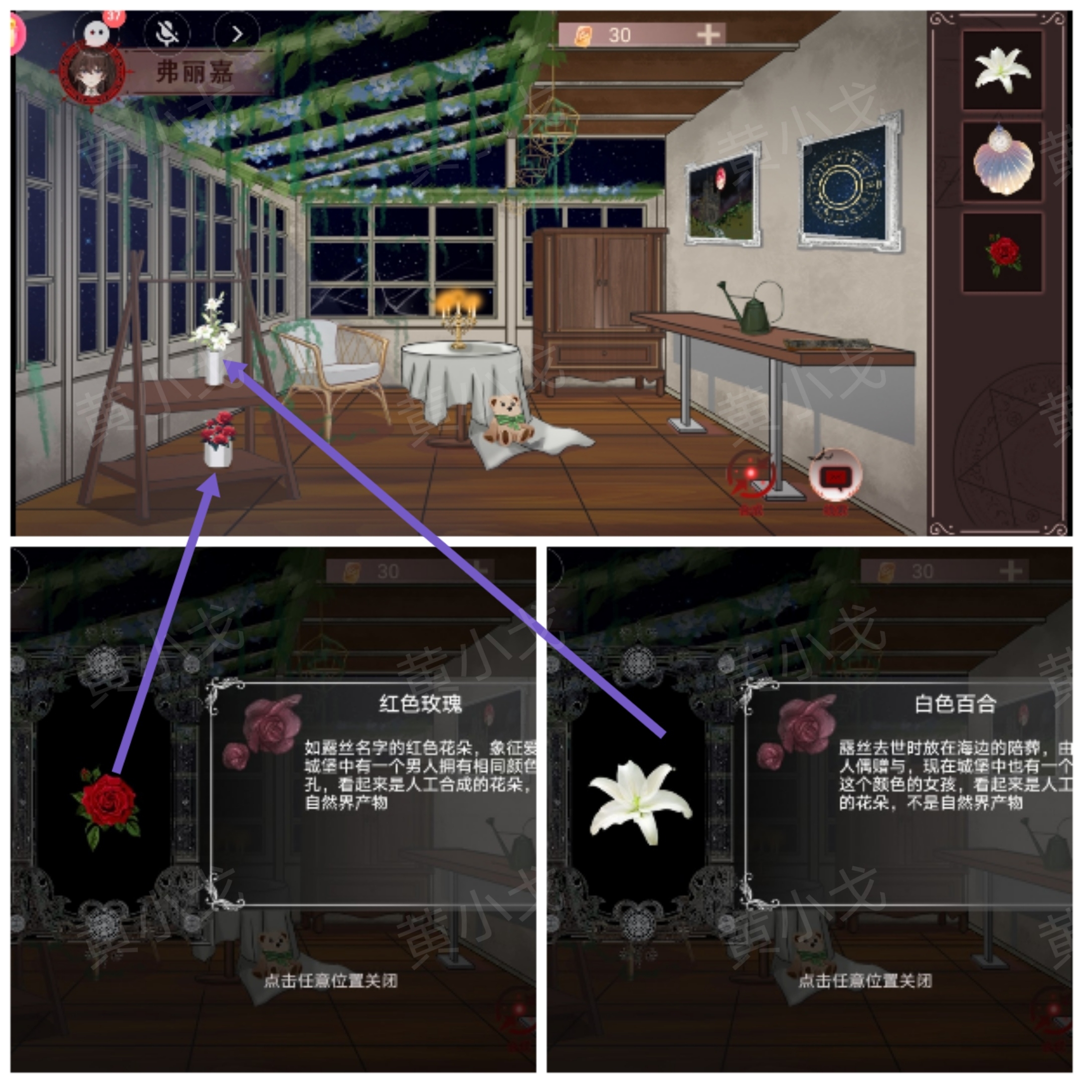 植物獲取示意圖