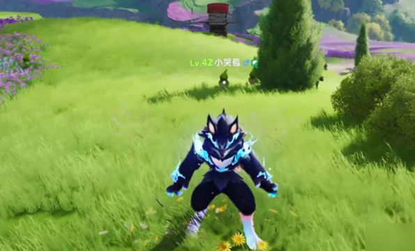 區域分布示意圖