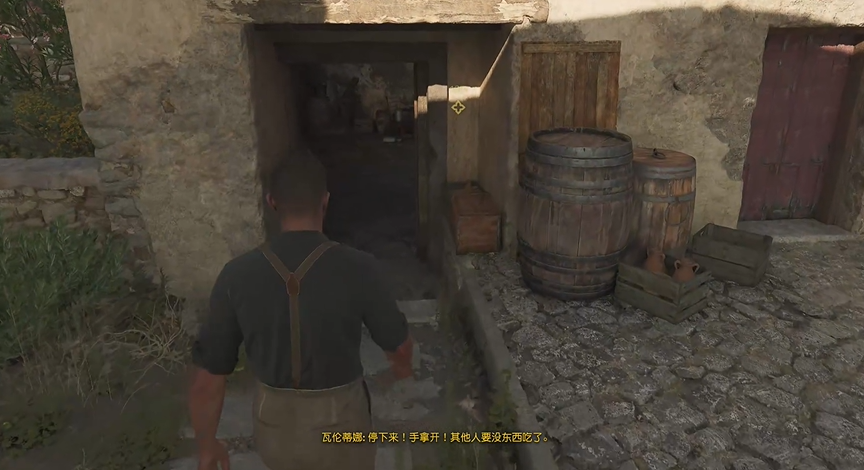 圣塞萊斯特建筑入口示意圖