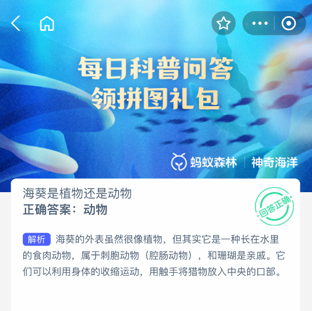 海葵生物特征示意圖