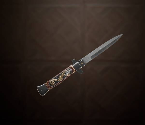 巴克爾8型示意圖