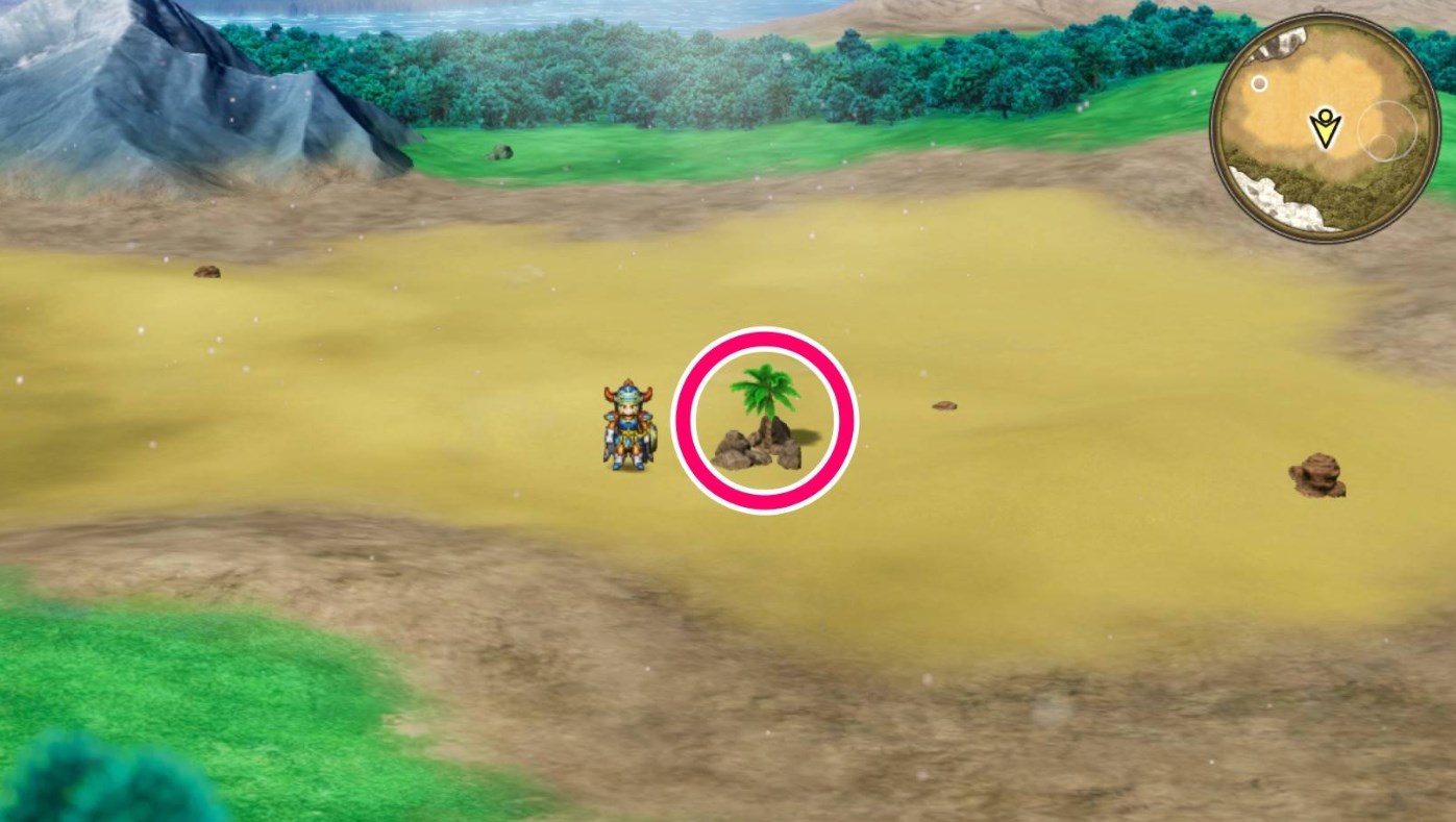 椰子樹與石頭位置