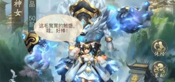飛升申請示意圖