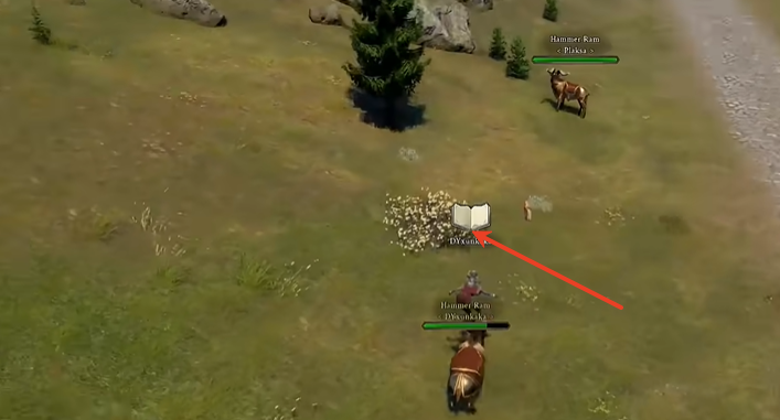 黃色水仙花位置