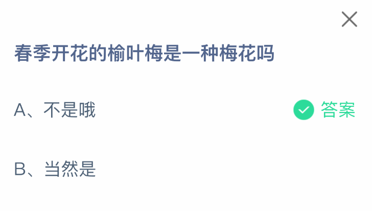 榆葉梅是梅花嗎?螞蟻莊園