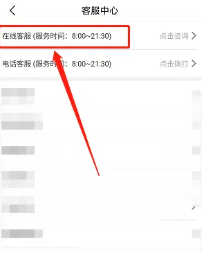 步驟3：在線客服界面
