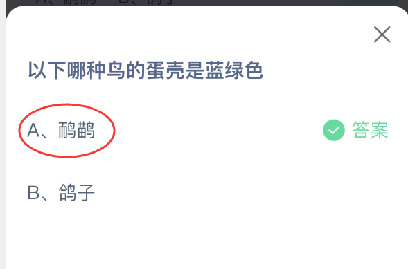 2025年9月1日螞蟻莊園答案｜鴯鹋的藍綠色蛋殼之謎-景澄手游網