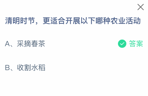 春茶采摘場景