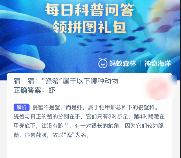 瓷蟹屬于哪種動物?螞蟻森林答案20250220揭曉