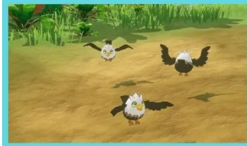 口袋新旅途頹頹鷹捕捉全攻略｜飛行系幻獸的精準(zhǔn)制勝法