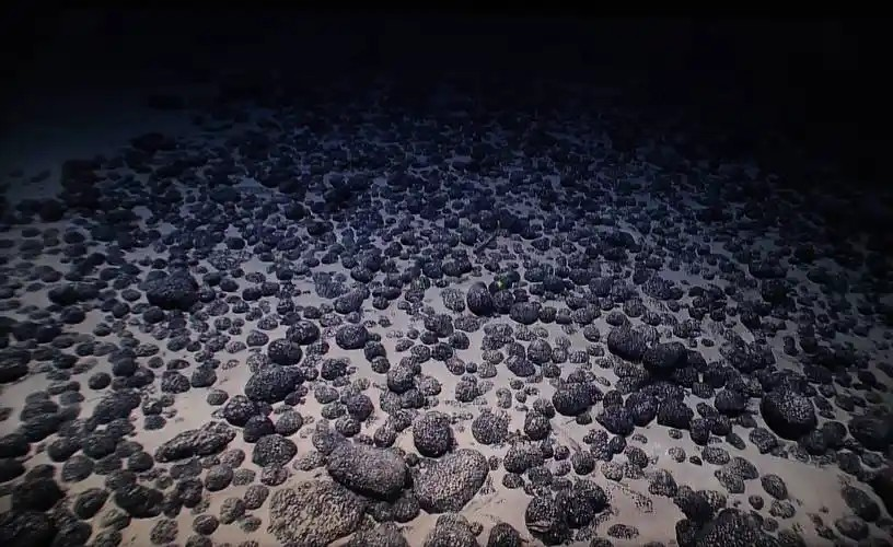 哪種海洋環境有“黑色食物鏈”?深海揭秘