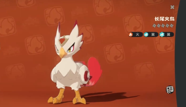 洛克王國：長尾火鳥，火系連擊王實測-景澄手游網(wǎng)