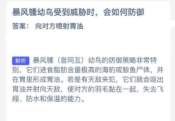 暴風鹱幼鳥防御場景