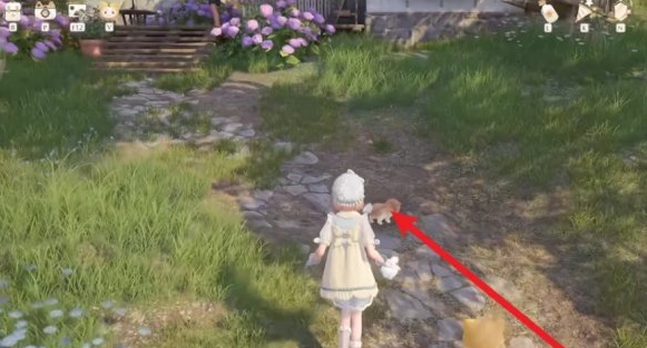 無限暖暖汪汪毛線獲取全攻略